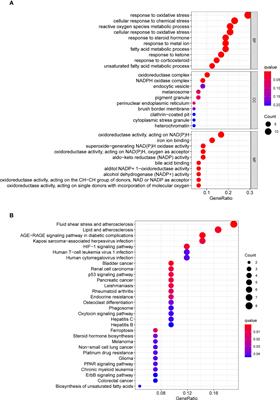 LASTR is a novel prognostic biomarker and predicts response to cancer immunotherapy in gastric cancer